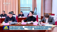 中国东方演艺集团一级编导周莉亚出席今年首场总理座谈会